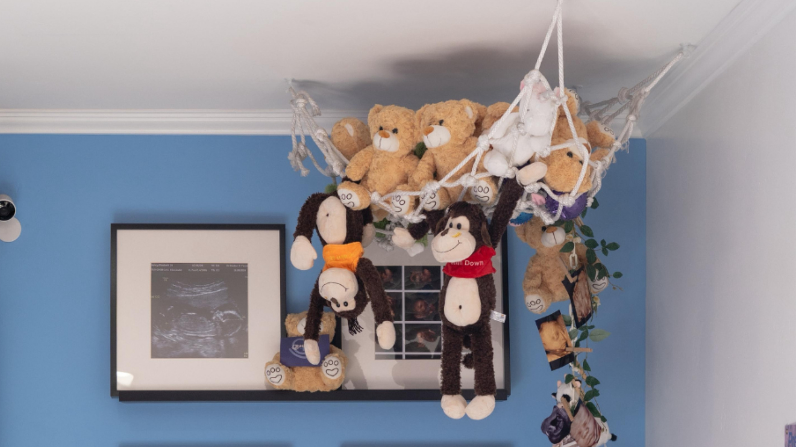 Stuffed Animal with Baby's Heartbeat